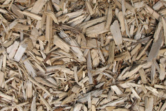 biomass boilers Penrhyn Side